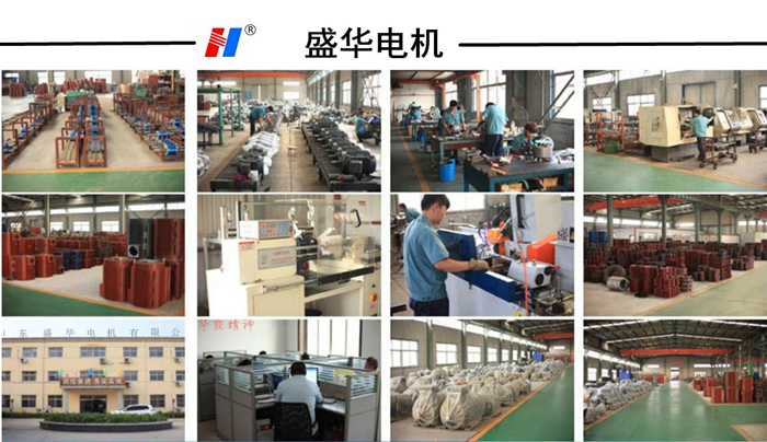 山東電機(jī)廠,風(fēng)機(jī)專用電機(jī),電機(jī)定制