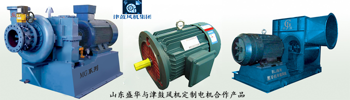 山東電機(jī)廠,風(fēng)機(jī)專用電機(jī),電機(jī)定制