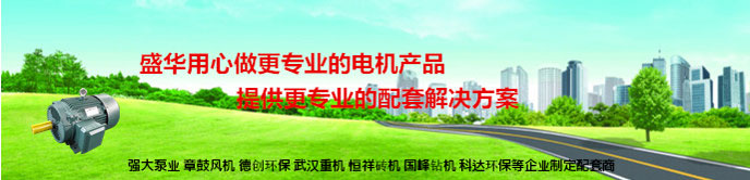 大功率電機(jī),電機(jī)生產(chǎn)廠家